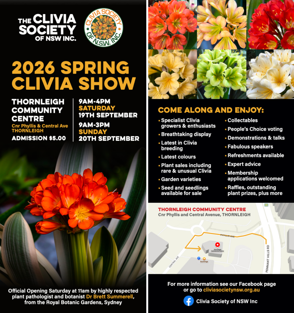 Clivia Society 2026 Spring Show Leaflet. Saturday, 19th September 9am-4pm and Sunday, 20th September 9am-3pm at Thornleigh Community Centre. Admission $5.00.